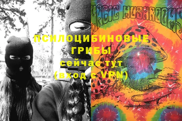 ешки Алексеевка